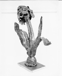 early work (St M's)  Bronze (1a)_2.jpg